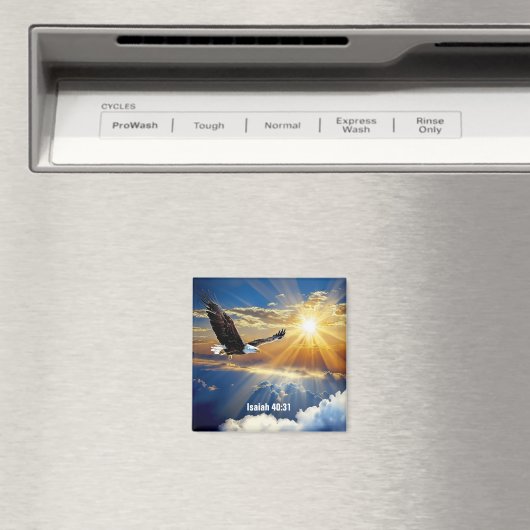 Magnet (In Situ (Geschirrspüler))