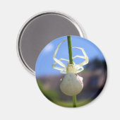 Magnet (Vorderseite/Rückseite)