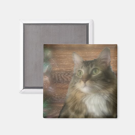 Magnet (Vorderseite/Rückseite)