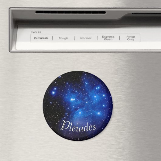 Magnet (In Situ (Geschirrspüler))