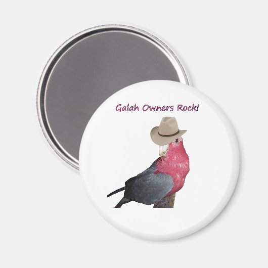 Magnet (Vorderseite/Rückseite)