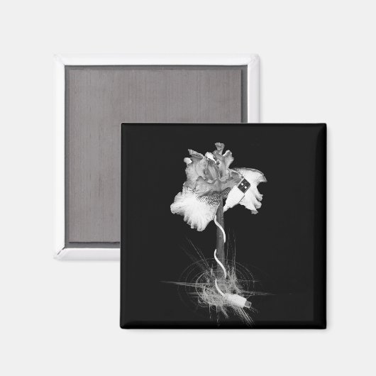 Magnet (Vorderseite/Rückseite)