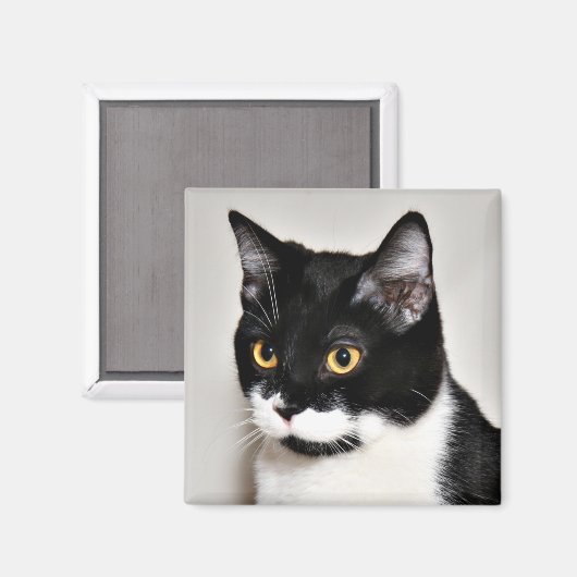 . MAGNET (Vorderseite/Rückseite)