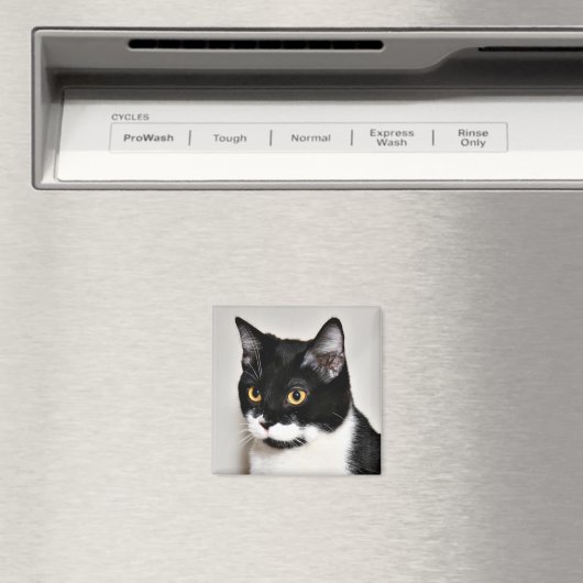 . MAGNET (In Situ (Geschirrspüler))