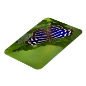 Magnet (Linke Seite)