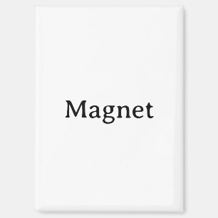  MAGNET