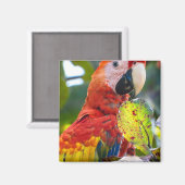 Magnet (Vorderseite/Rückseite)