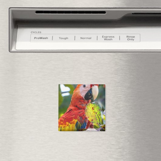 Magnet (In Situ (Geschirrspüler))