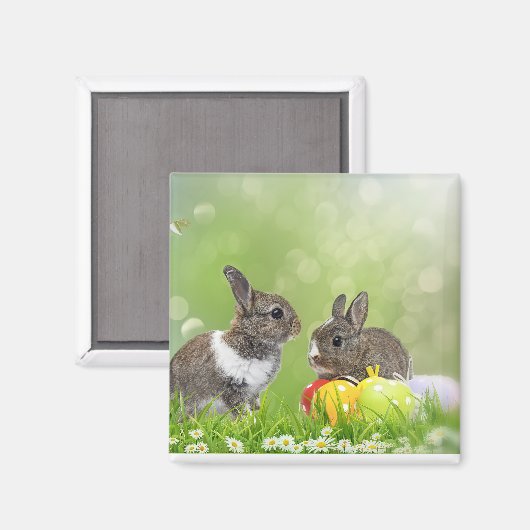 Magnet (Vorderseite/Rückseite)