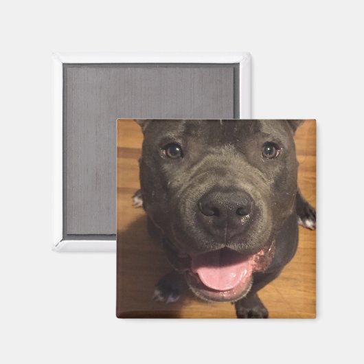 Magnet (Vorderseite/Rückseite)