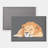 Magnet (Vorderseite/Rückseite)