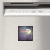 Magnet (In Situ (Geschirrspüler))