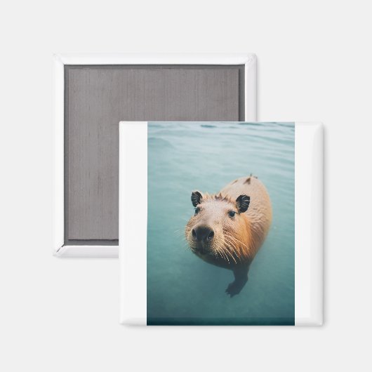 Magnet (Vorderseite/Rückseite)