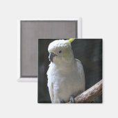 Magnet (Vorderseite/Rückseite)