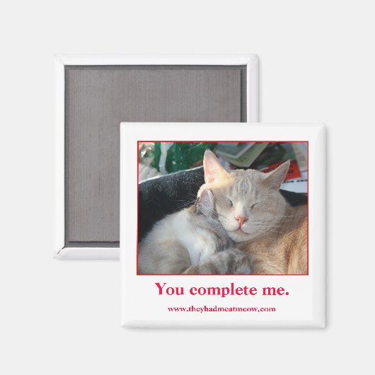 Magnet (Vorderseite/Rückseite)