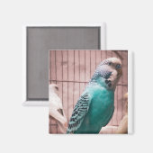 Magnet (Vorderseite/Rückseite)