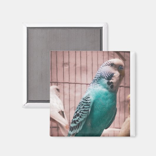 Magnet (Vorderseite/Rückseite)