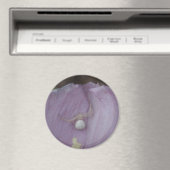 Magnet (In Situ (Geschirrspüler))