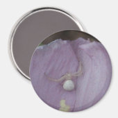 Magnet (Vorderseite/Rückseite)