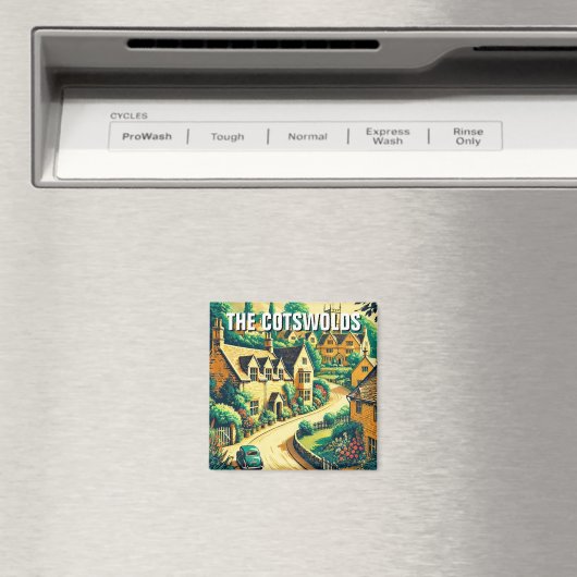 Magnet (In Situ (Geschirrspüler))