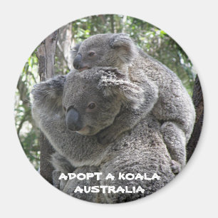 Magnet Adoptiere ein Koala Australien ZIZZAGO