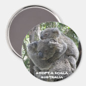 Magnet Adoptierte A Koala Australien ZIZAGO (Vorderseite/Rückseite)