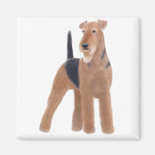 Magnet Airedales Terrier