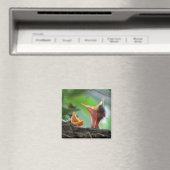 Magnet - Amerikanische Robin Babies (In Situ (Geschirrspüler))