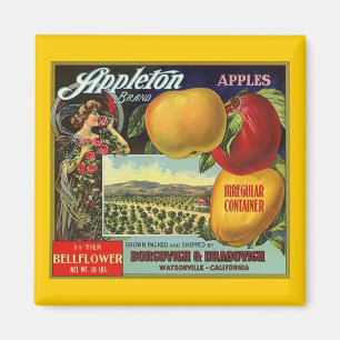 MAGNET ~ APPLETON-MARKENÄPFEL VINTAGE-OBSTETIKETT