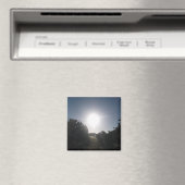 MAGNET ART&DESIGN DEKORATION (In Situ (Geschirrspüler))