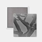 MAGNET ART&DESIGN DEKORATION STYLES (Vorderseite/Rückseite)