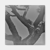 MAGNET ART&DESIGN DEKORATION STYLES (Vorne)