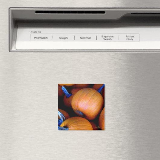 Magnet "Autumn Pumpkins" (In Situ (Geschirrspüler))