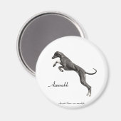 MAGNET Azawakh 2 (Vorderseite/Rückseite)