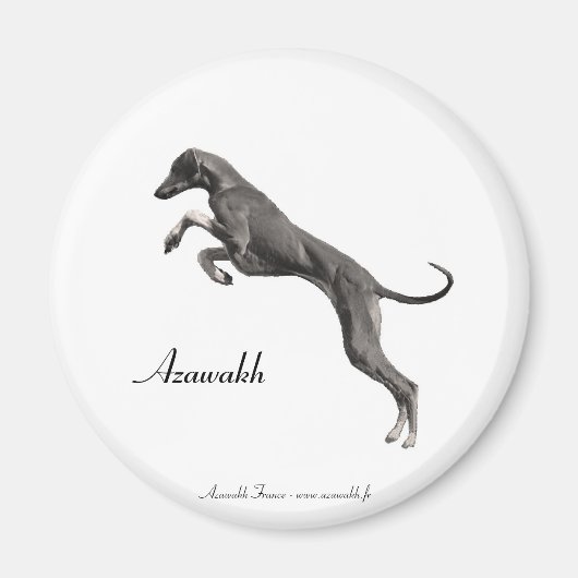 MAGNET Azawakh 2 (Vorne)