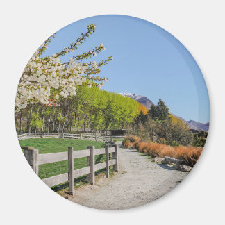 Magnet - backdrop of Walter's peak