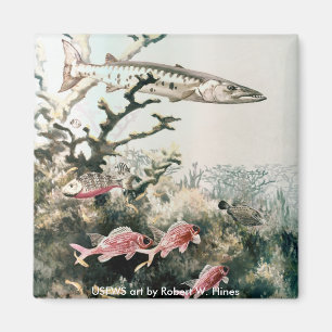 Magnet-/Barracuda-und Riff-Fische Magnet
