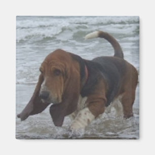 Magnet Basset Hound am Meer