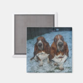 Magnet Basset Hound Brothers (Vorderseite/Rückseite)