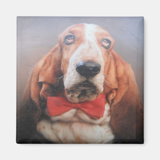 Magnet Basset Hound Red Bow Krawatte (Vorne)