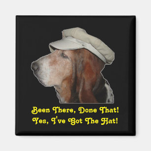 Magnet Basset Hound war da, getan, dass