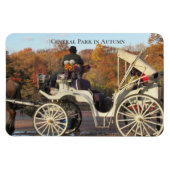 Magnet — Beförderung im NYC Central Park (Horizontal)