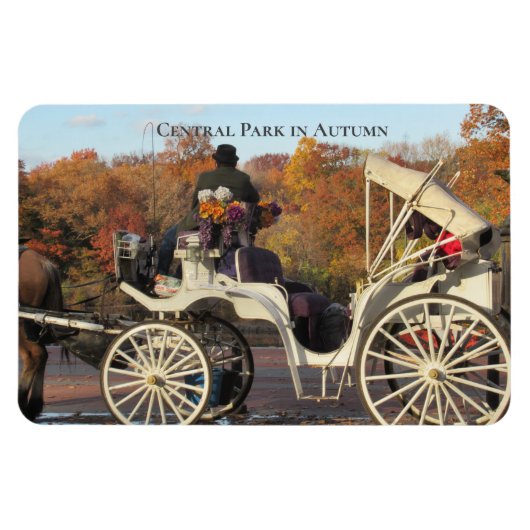 Magnet — Beförderung im NYC Central Park (Horizontal)