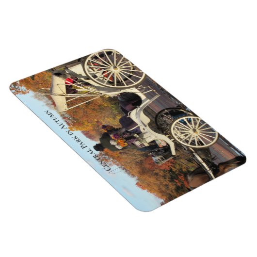 Magnet — Beförderung im NYC Central Park (Rechte Seite)