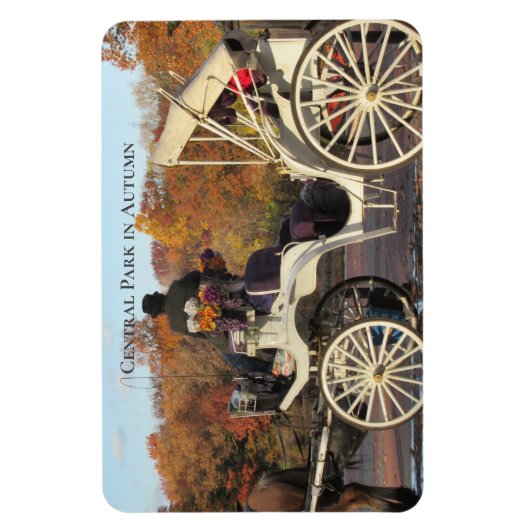 Magnet — Beförderung im NYC Central Park (Vertikal)