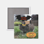 Magnet Black Cat die Hexe kommt (Vorderseite/Rückseite)