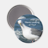 Magnet: Blickfang Gull Magnet (Vorderseite/Rückseite)