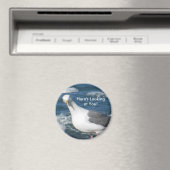 Magnet: Blickfang Gull Magnet (In Situ (Geschirrspüler))