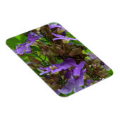 Magnet - Blue Ginger (Rechte Seite)