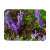 Magnet - Blue Ginger (Horizontal)